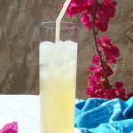 Sparkling Ginger Lemonade