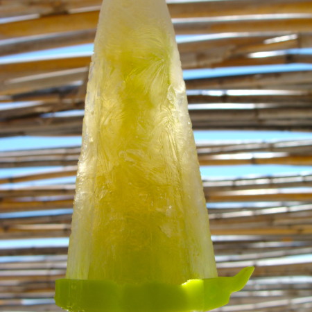 Sweet Mint Tea Popsicles