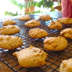 Grain-Free Chocolate Chip Cookies