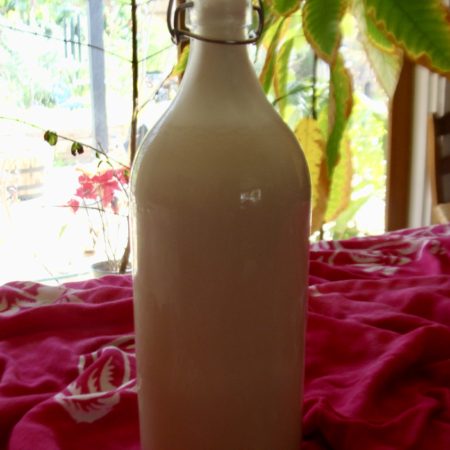 Sprouted Nut Milk